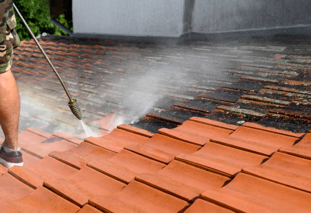 Best Sidewalk Pressure Washing  in Watertown, MN