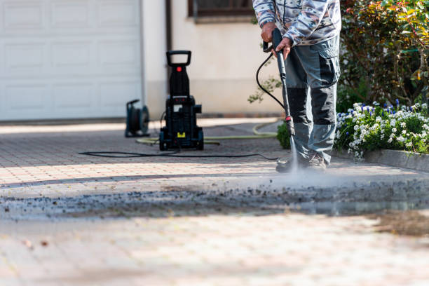 Best Exterior Home Cleaning  in Watertown, MN